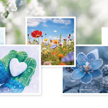 Et sett med fem kort fra Kreftforeningen vises mot en bakgrunn av blomstrende grener i soft fokus. Fire av kortene har fargerike naturmotiver som et blomstereng, en regnbuefarget paraply i regn, votter som holder et hvitt hjerte i snø, og en frostet blå blomst. Det femte kortet viser baksiden med felt for navn og beløp gitt som gave til Kreftforeningen. Kortene symboliserer støtte, årstider og håp.