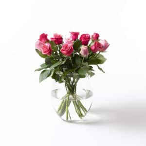 15 Fairtrade Rosa sløyfe roser lilla/rosa
